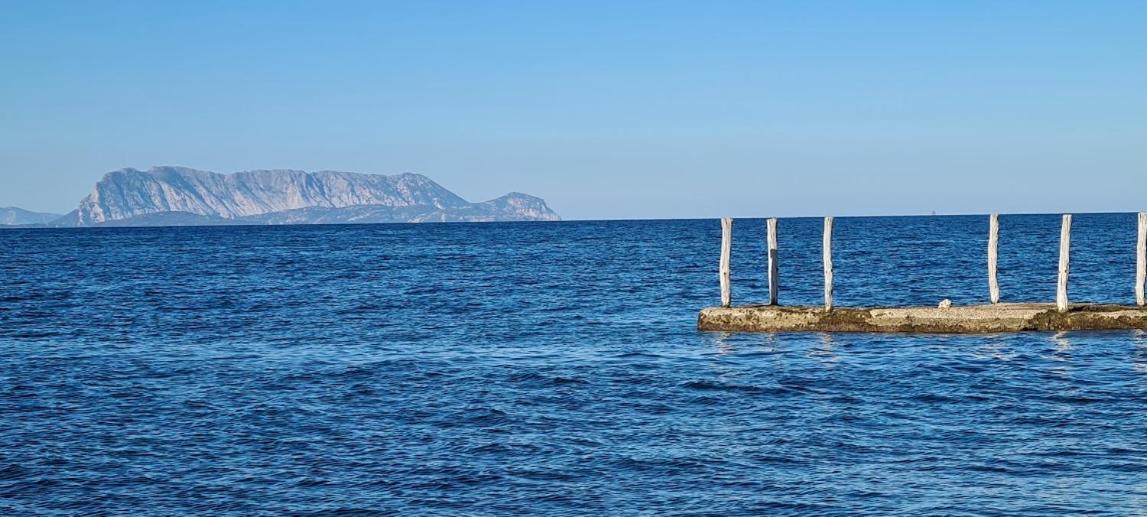 Le Pavoncelle Villa Budoni Eksteriør billede